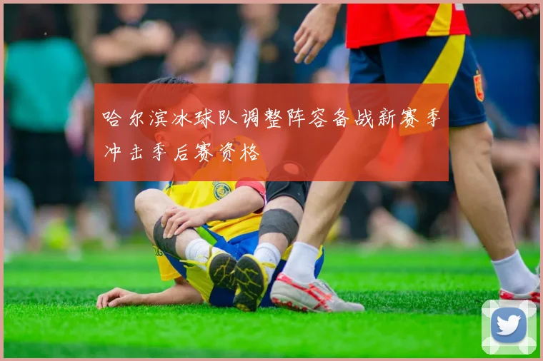 哈尔滨冰球队调整阵容备战新赛季冲击季后赛资格