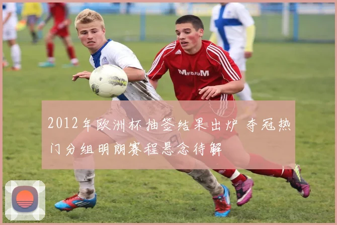 2012年欧洲杯抽签结果出炉 夺冠热门分组明朗赛程悬念待解